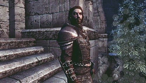 Celann - skyrim best follower