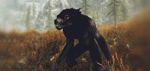 How to cure being a vampire in Skyrim - Lycanthropy